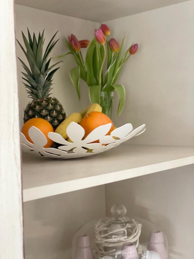 זאדאר Apartman Ksenija מראה חיצוני תמונה